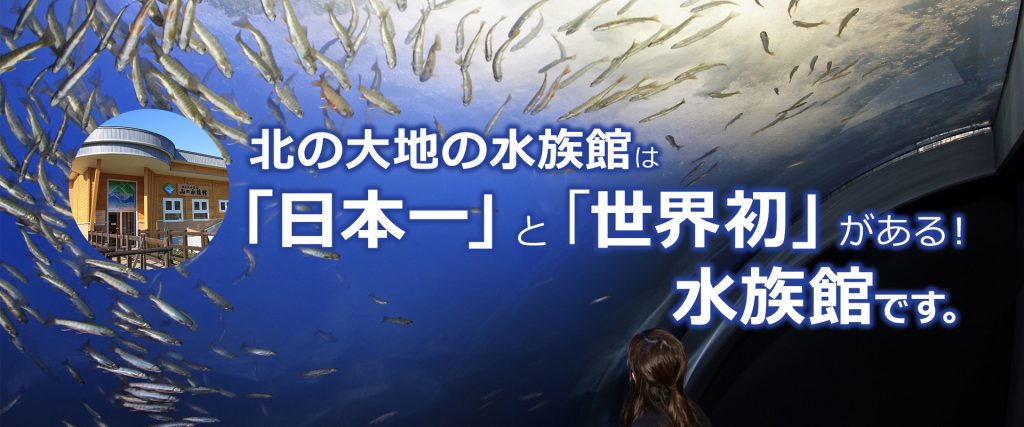 メインビジュアル画像