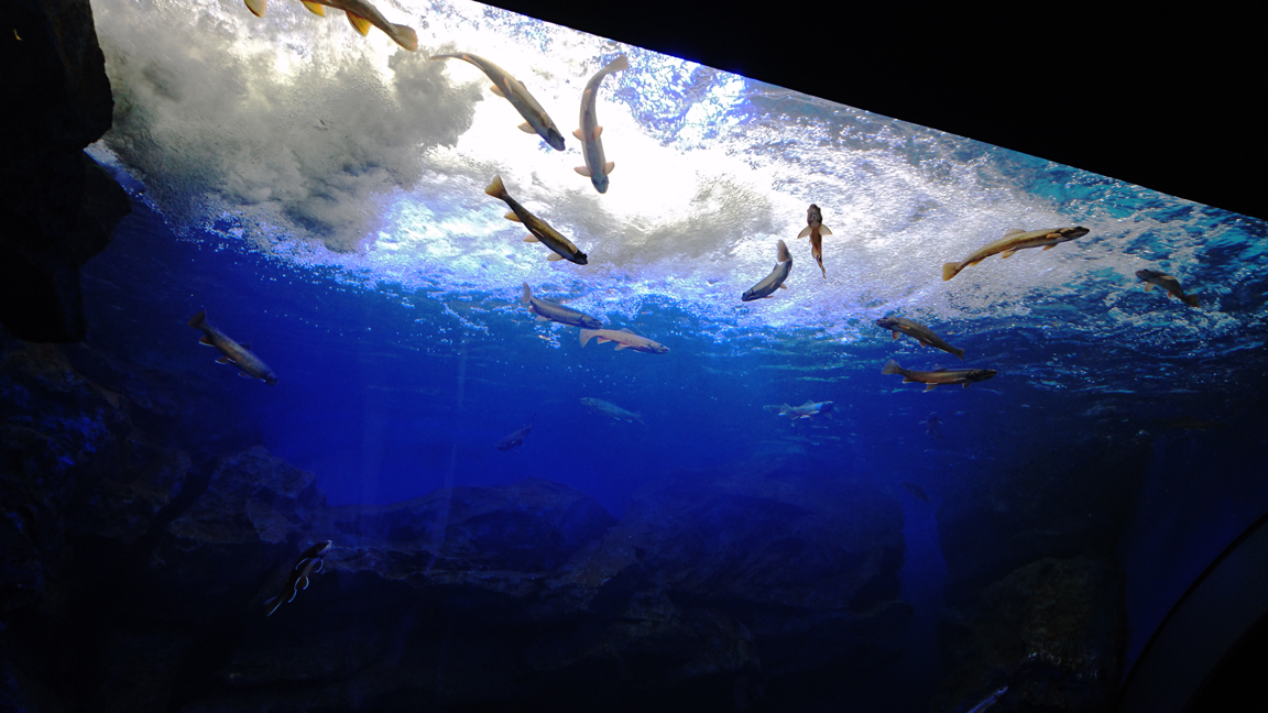 メインビジュアル画像